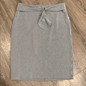 Ann Taylor Pencil Skirt